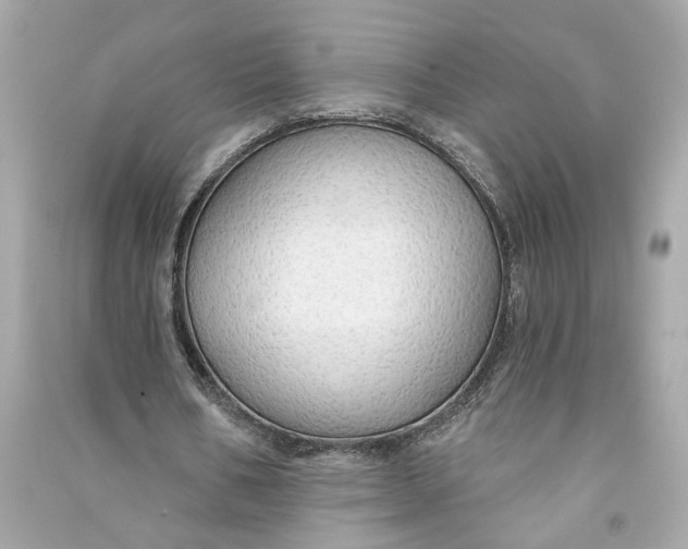 X0000090770578200708101812