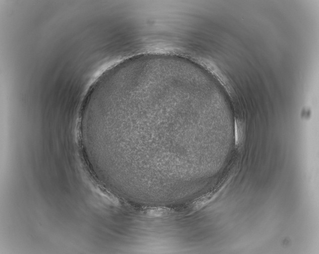 X0000090770579200708101812