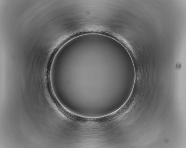 X0000090770581200708101812