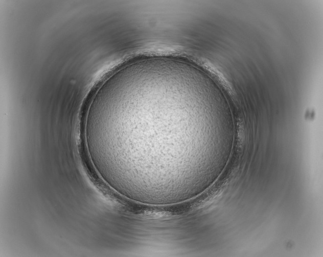 X0000090770582200708101812