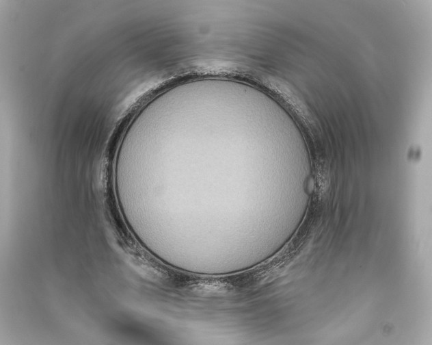 X0000090770583200708101812