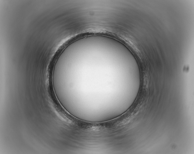 X0000090770584200708101812