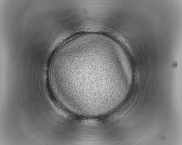 X0000090770586200708101812