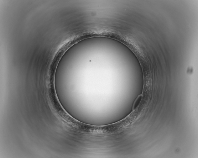 X0000090770587200708101812