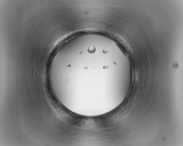 X0000090770588200708101812