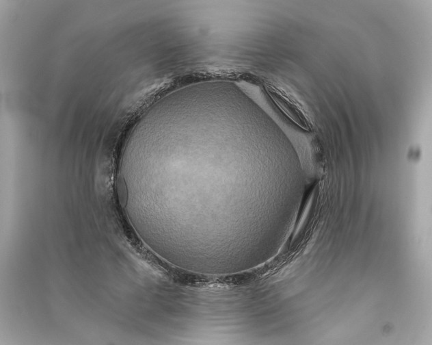 X0000090770593200708101812