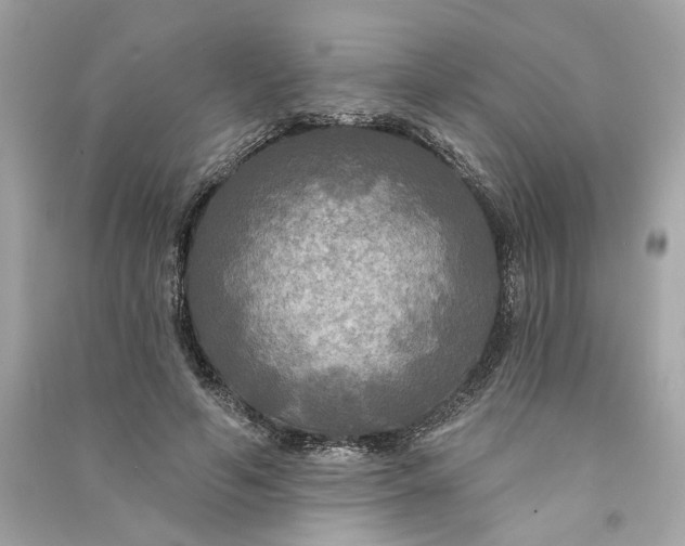 X0000090770594200708101812