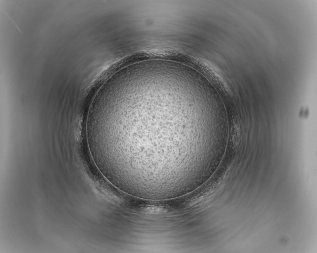 X0000090770596200708101812