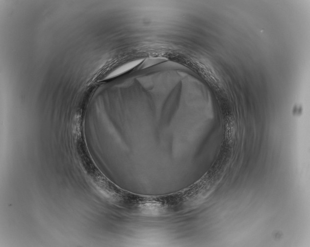 X0000090770598200708101812
