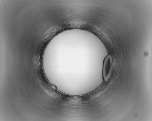 X0000090770599200708101812
