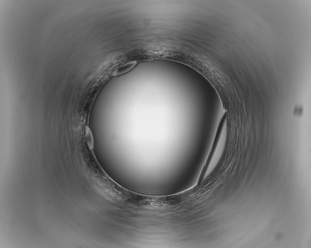 X0000090770601200708101812
