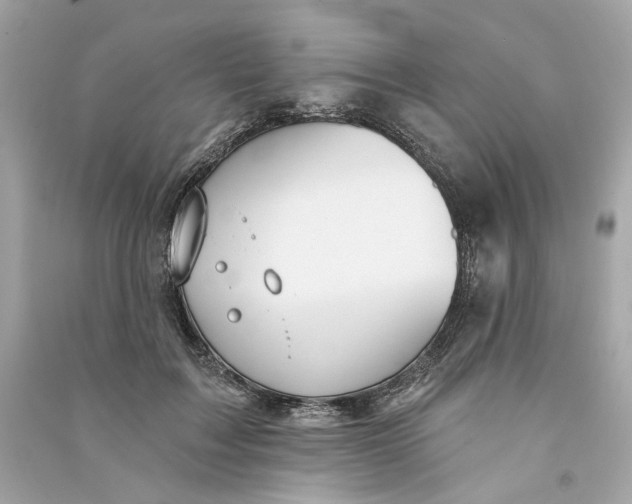X0000090770603200708101812