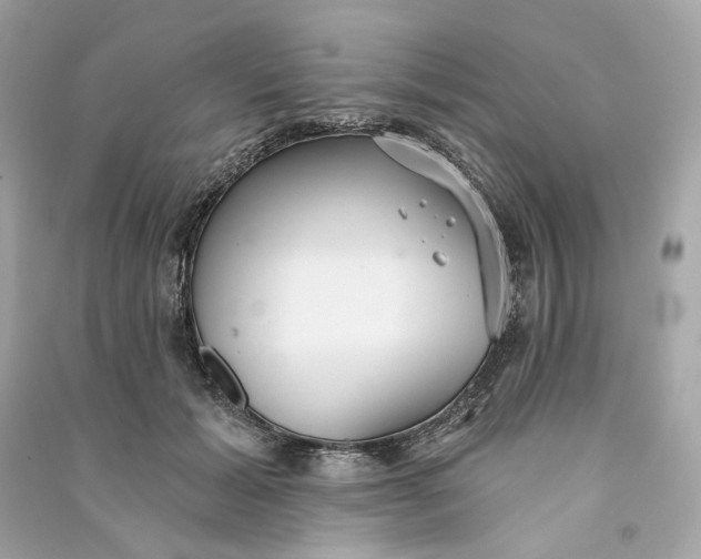 X0000090770605200708101812