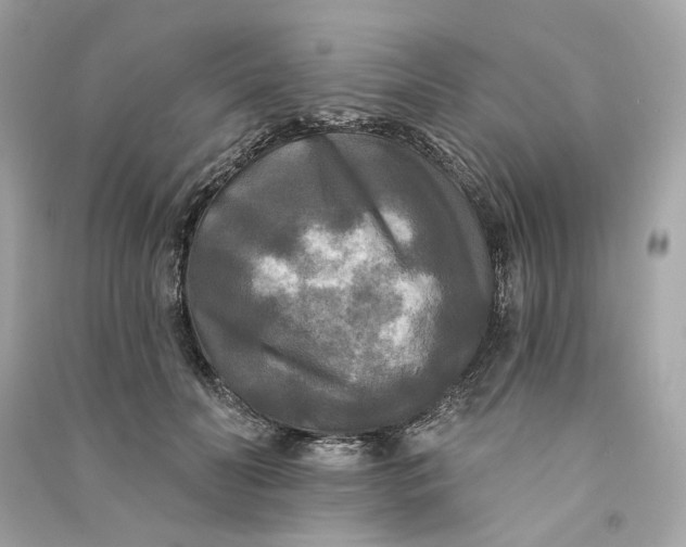 X0000090770606200708101811