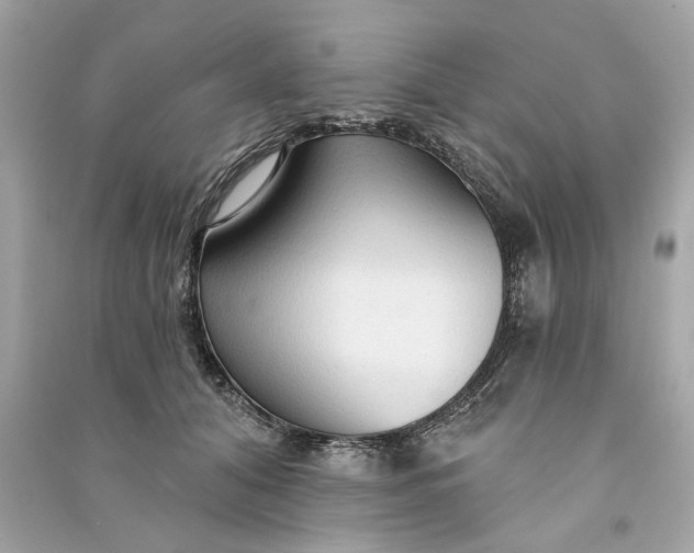 X0000090770608200708101811