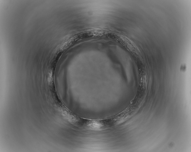 X0000090770610200708101811