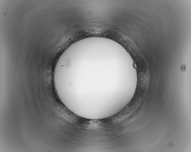 X0000090770612200708101811