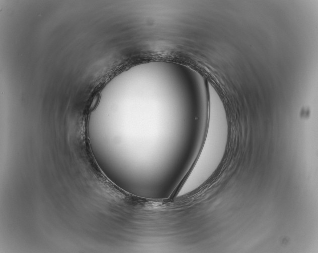 X0000090770613200708101811