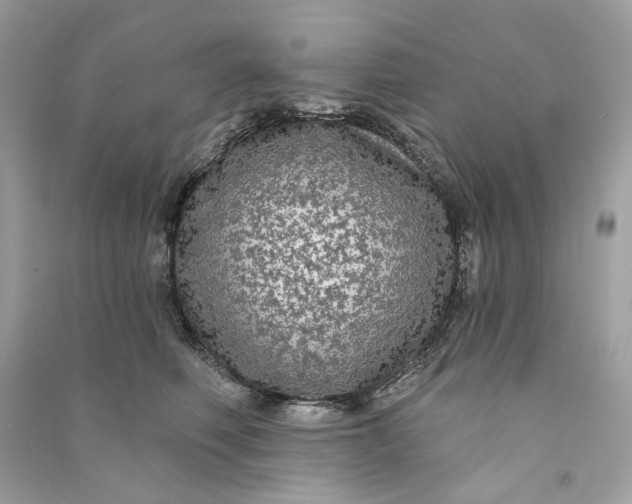 X0000090770614200708101811