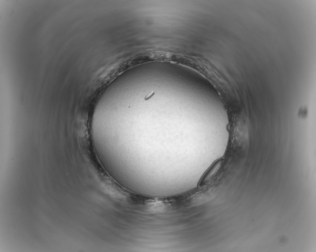 X0000090770616200708101811