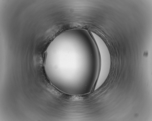 X0000090770617200708101811