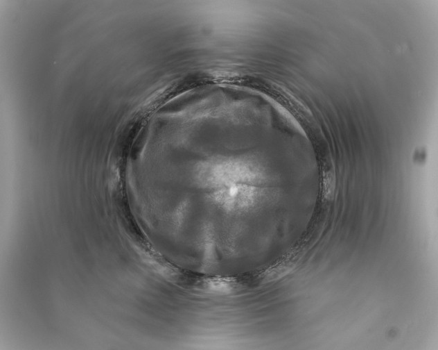 X0000090770618200708101811