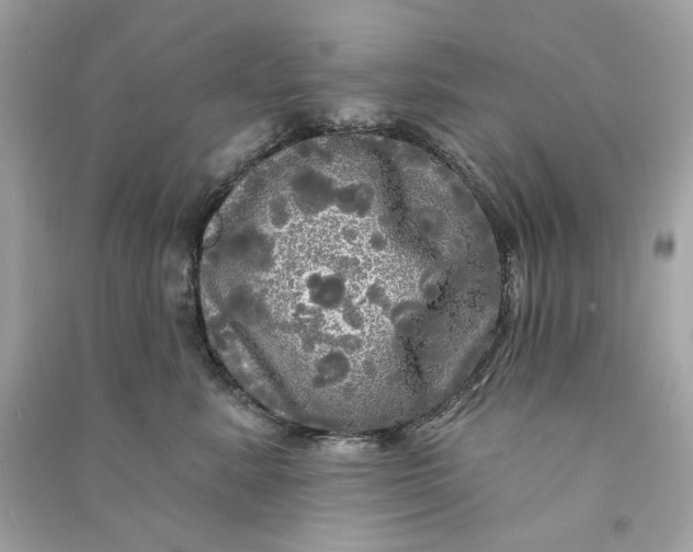 X0000090770619200708101811
