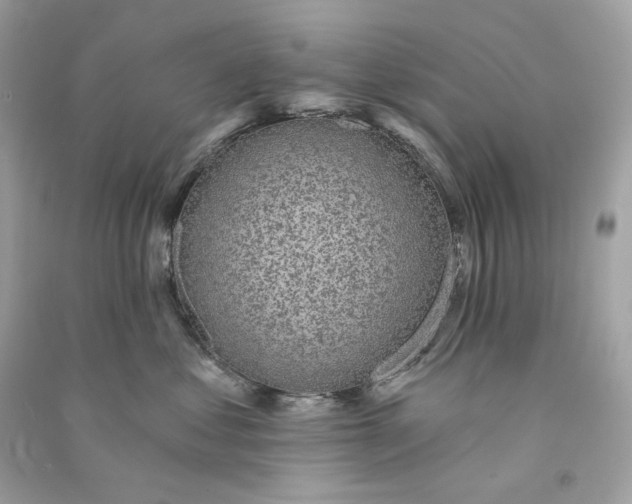 X0000090770621200708101811