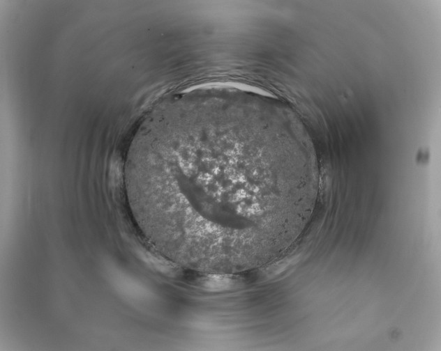 X0000090770623200708101811