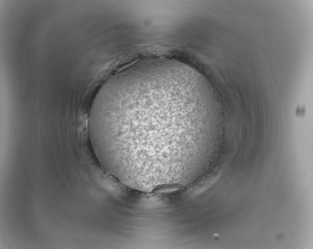 X0000090770624200708101811