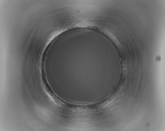 X0000090770626200708101811