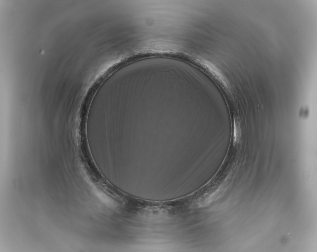 X0000090770627200708101811