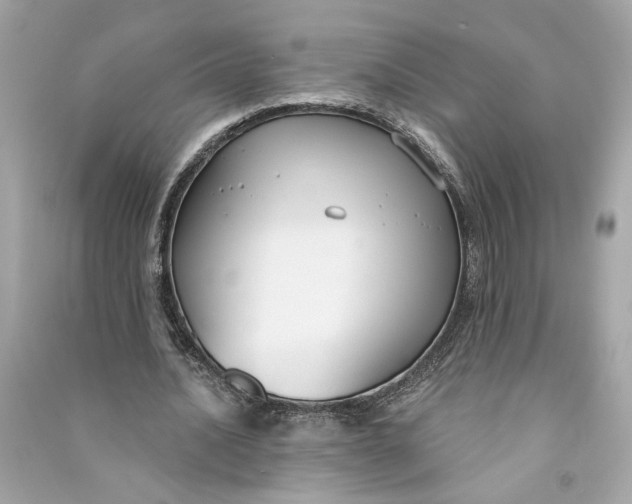 X0000090770628200708101811