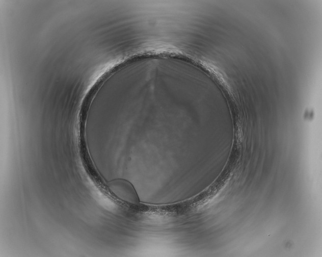 X0000090770630200708101811