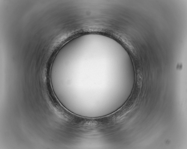 X0000090770631200708101811