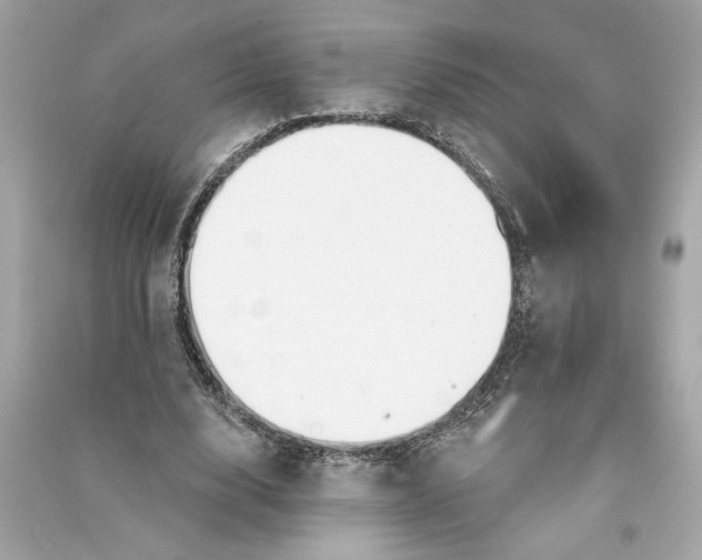 X0000090770632200708101811