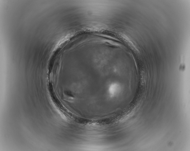 X0000090770634200708101811