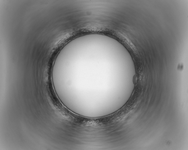 X0000090770635200708101811