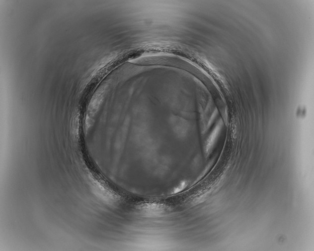 X0000090770637200708101811