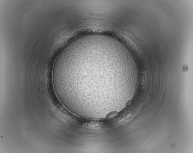 X0000090770639200708101811