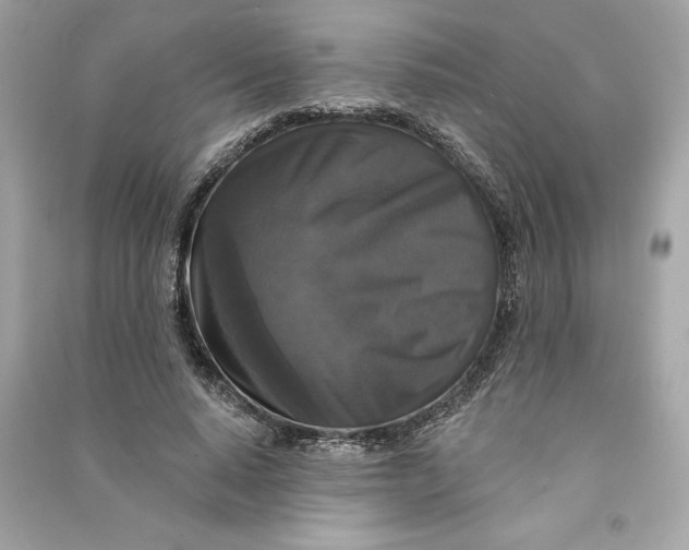 X0000090770640200708101811