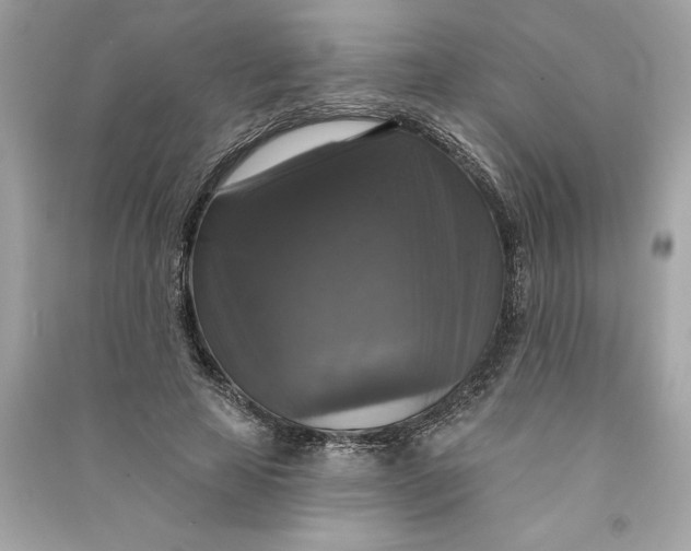 X0000090770641200708101811
