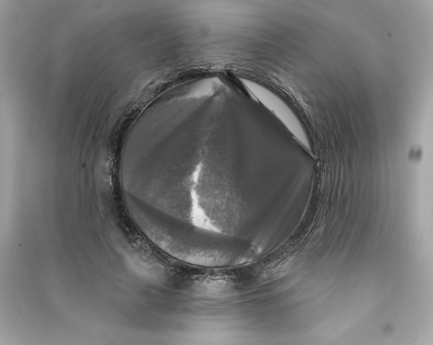 X0000090770643200708101811