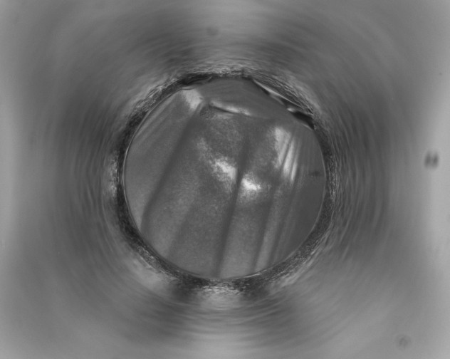 X0000090770644200708101811