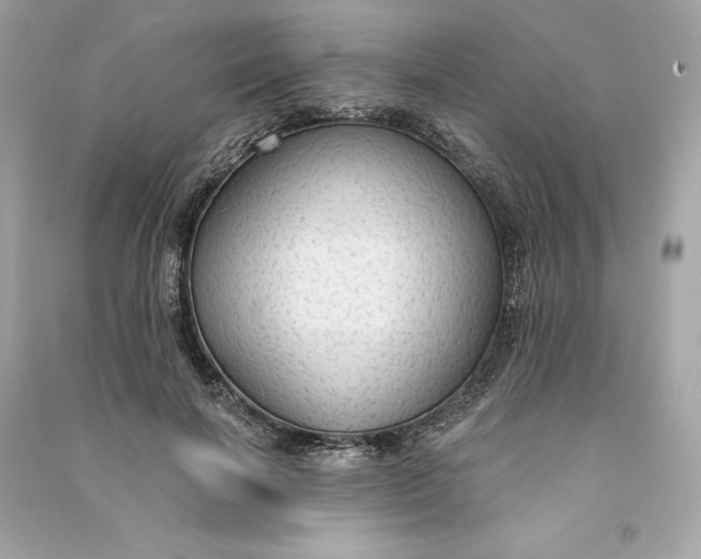 X0000090770646200708101811