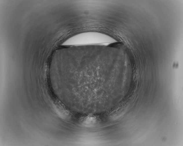 X0000090770647200708101811