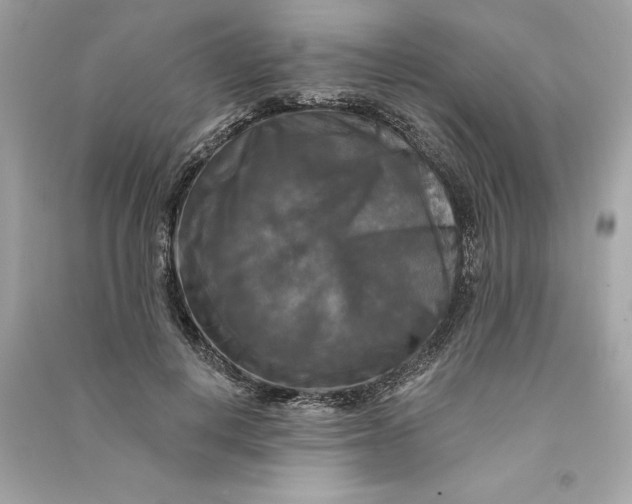 X0000090770648200708101811