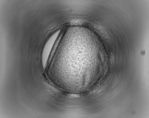 X0000090770649200708101811