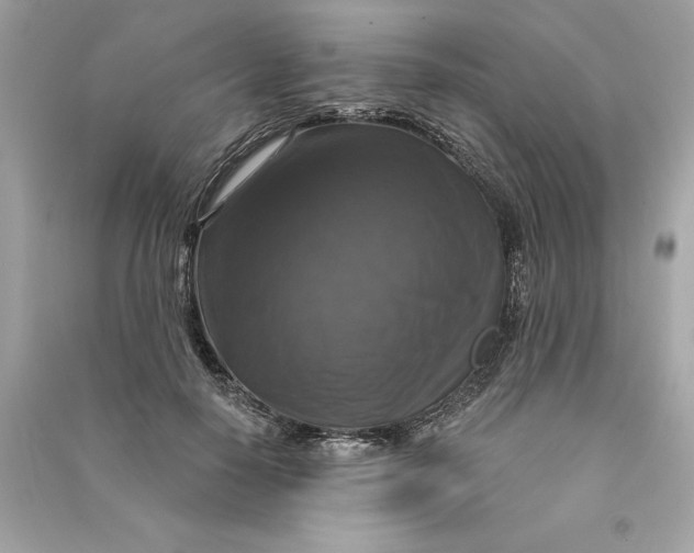 X0000090770650200708101811