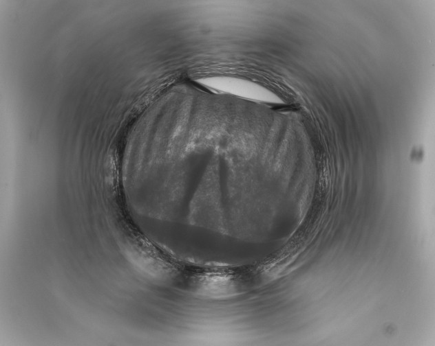 X0000090770651200708101811
